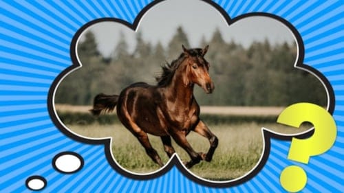 Otomobillerin motor gücü neden hep beygir gücü ile ölçülüyor? İşte şaşırtan at gerçeği!