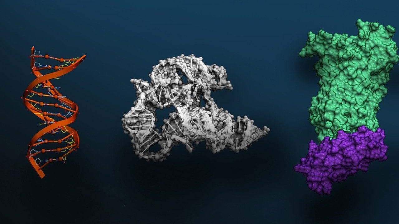 Sağlık sorunları tarih olacak! NVIDIA, DNA'nın %98'ini çözmek için hastanelerle ortaklık kuruyor