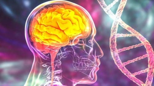 Alzheimer için yeni umut: Beyni koruyan bir gen mutasyonu keşfedildi