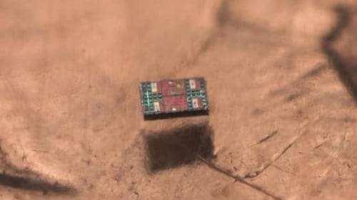 Bilim insanları 'algılayabilen, düşünebilen ve hareket edebilen' 1 mm'den küçük bir robot geliştirdi