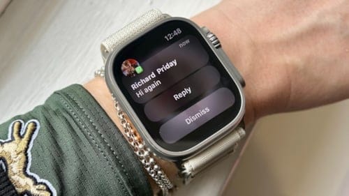 WhatsApp’tan Apple Watch kullanıcılarını sevindiren adım: Yönetim kolaylaşıyor!