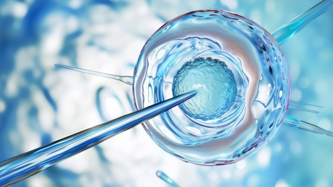 Bilim insanları ilk kez insan yumurtalarını gençleştirerek tüp bebek başarı şansını artırdı