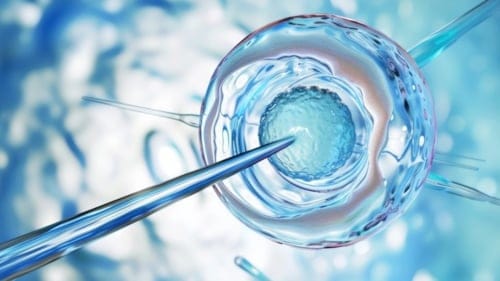 Bilim insanları ilk kez insan yumurtalarını gençleştirerek tüp bebek başarı şansını artırdı