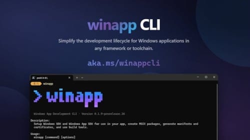 Microsoft, geliştiriciler için hazırladığı WinApp'i yayınladı!