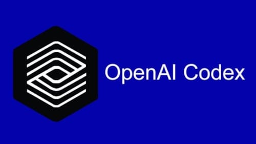 OpenAI, Codex uygulamasını Windows için yayınladı