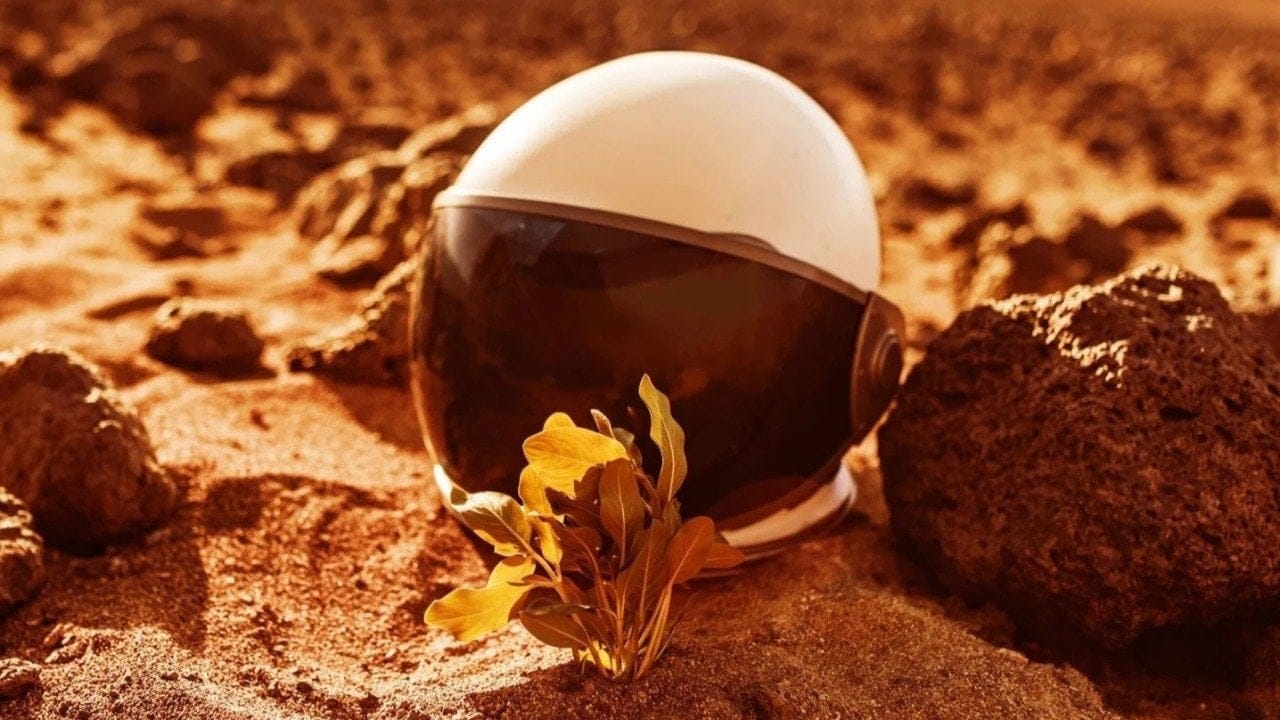 Mars'ta gıda üretiminde büyük adım! Toz ve mikroplarla bitki yetiştirildi