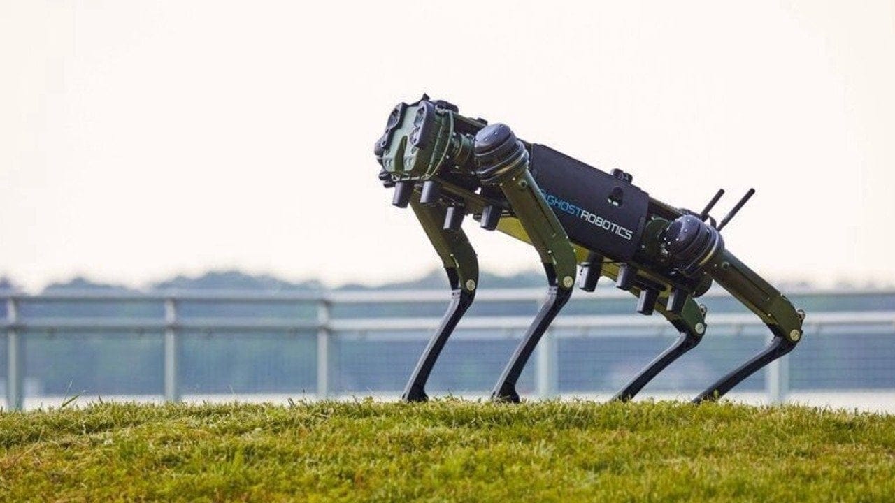 Çin ordusu robot köpek sürüsü teknolojisini ilk kez gösterdi