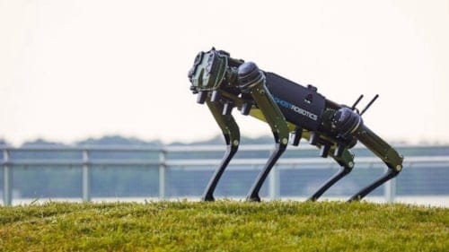 Çin ordusu robot köpek sürüsü teknolojisini ilk kez gösterdi
