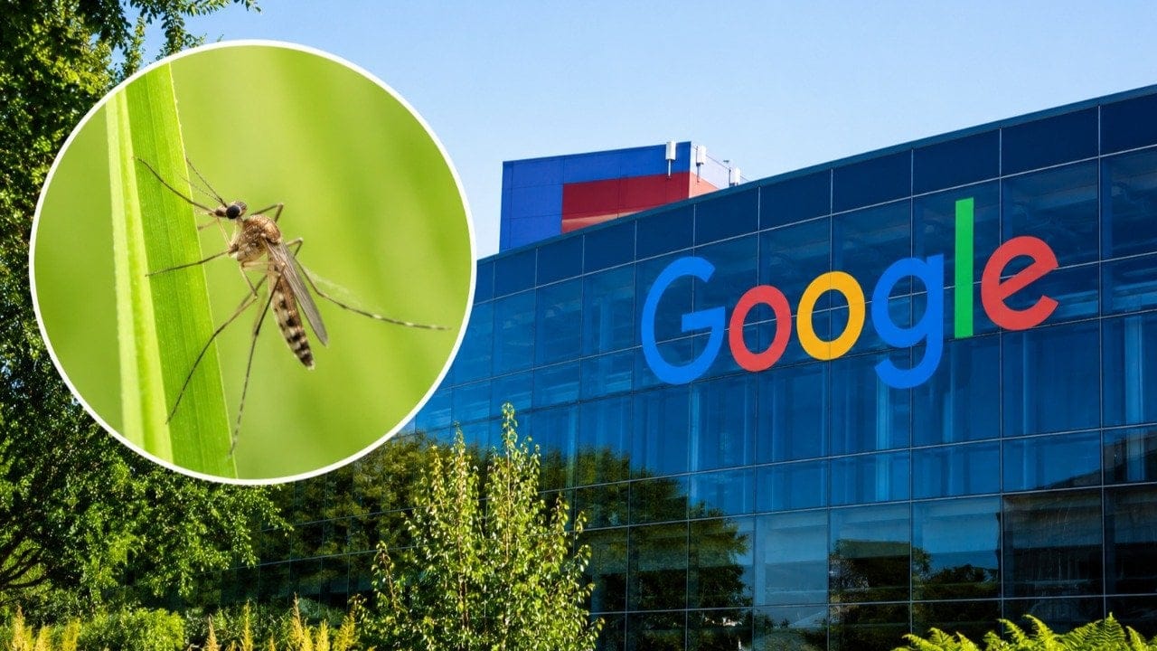 Google’dan sıra dışı plan: 32 milyon sivrisinek gökyüzüne bırakılacak!