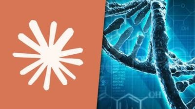 Claude, daha önce bilinmeyen bir DNA sistemini keşfetti