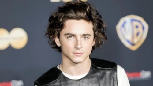 Timothee Chalamet, Barbie filmini geri çevirdi