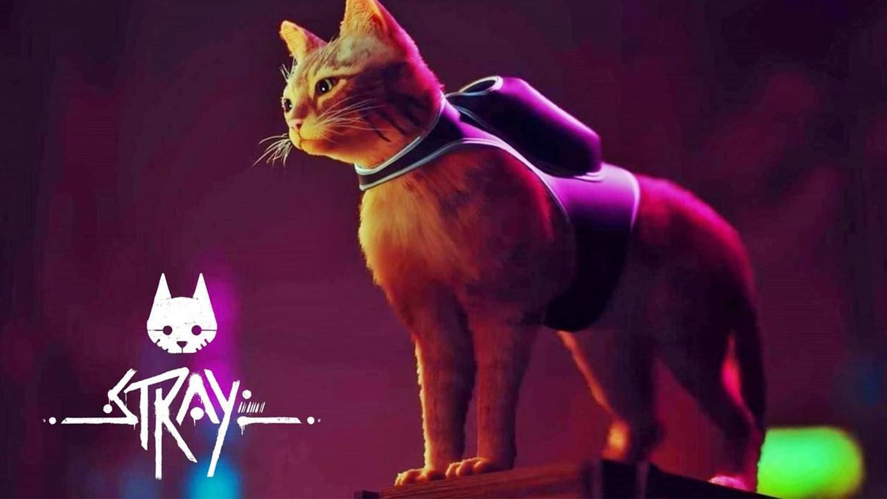Stray'in Nintendo Switch çıkış tarihi belli oldu