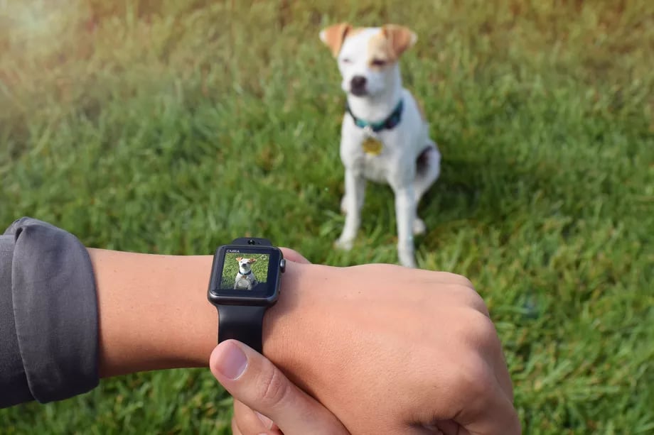 Apple Watch için Kameralı Kordon