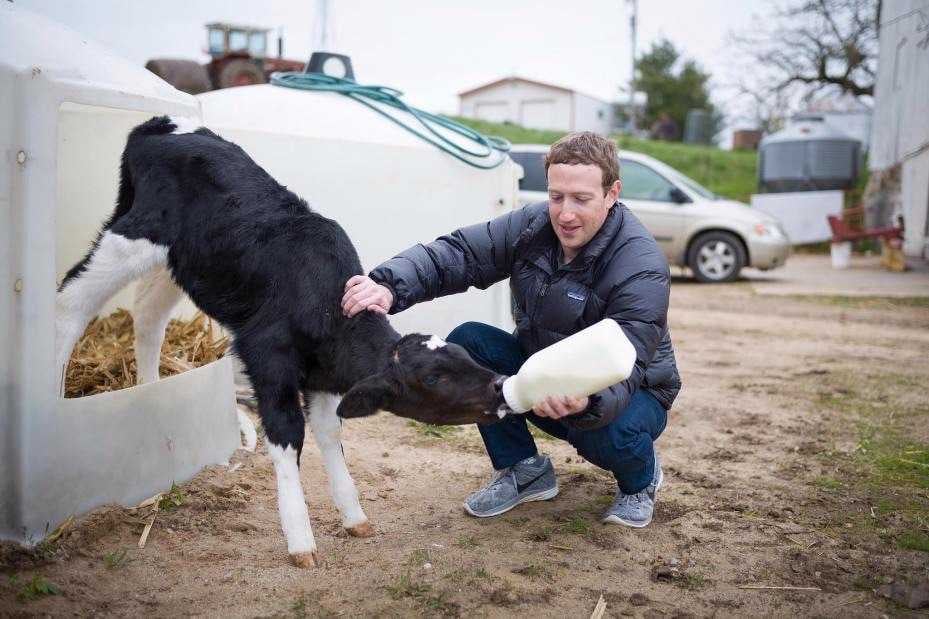 Facebook CEO’su ABD Başkanı Olmak mı İstiyor?