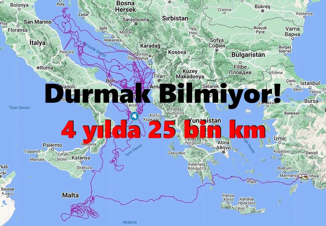 Durmak Bilmiyor! 'Tuba' 4 Yılda 25 Bin KM Yol Katetti