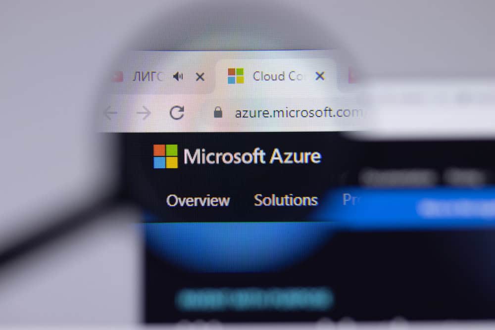 microsoft.jpg