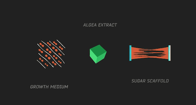 Algea Extract