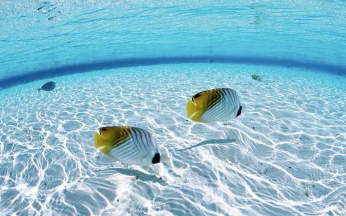 8791966-underwater-wallpaper-image-hd-background