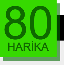 Ekran Resmi 2016-08-13 22.29.08