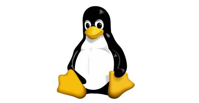 inux-maskot