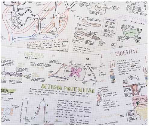 studyblr-1