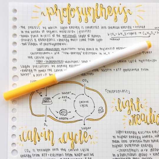 studyblr-1