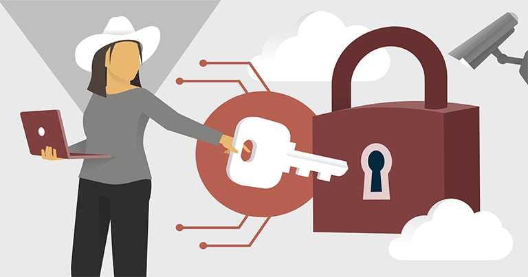 beyaz şapkalı hacker nedir, 