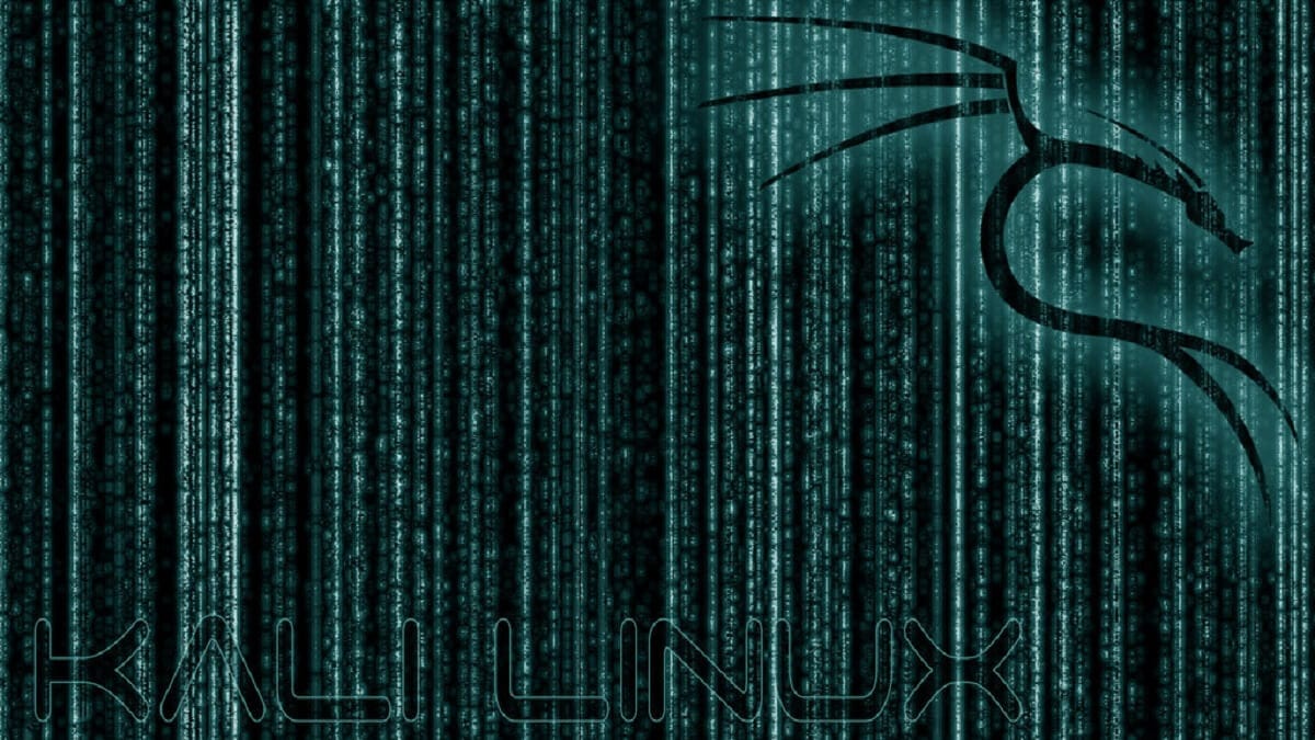Kali Linux İşletim Sistemi Nedir?